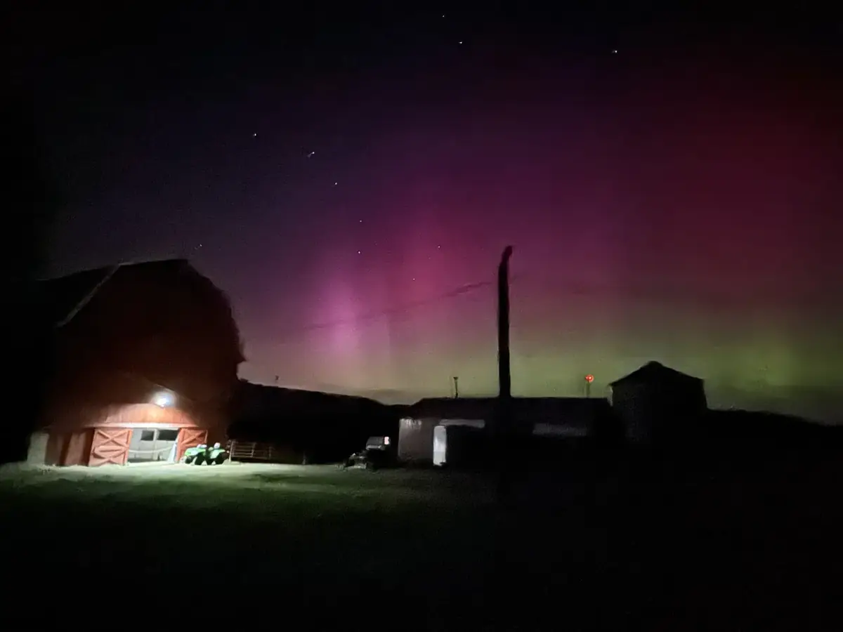 Night sky over the Easy Star property