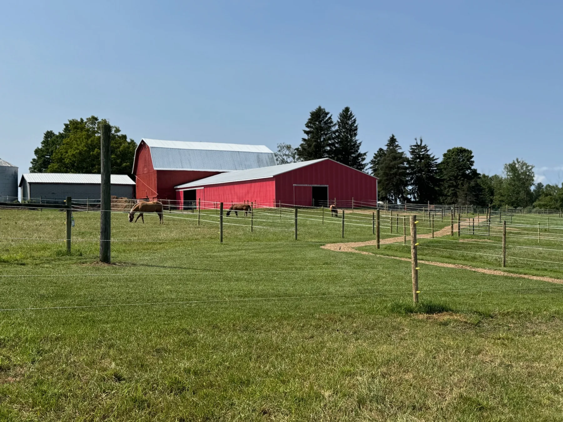 Easy Star Boarding barns and turnout fields